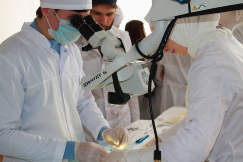 На медицинском факультете ИнгГУ прошёл мастер-класс «Хирургический шов»  