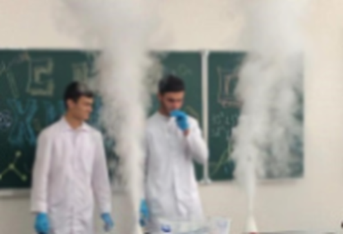 В Ингушском госуниверситете прошла студенческая конференция, приуроченная ко Дню химика